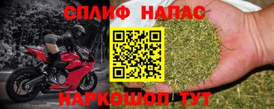 мяу мяу мука Бузулук