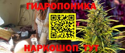 мяу мяу мука Бузулук