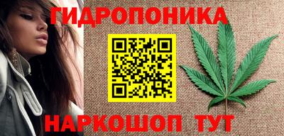 винт Будённовск